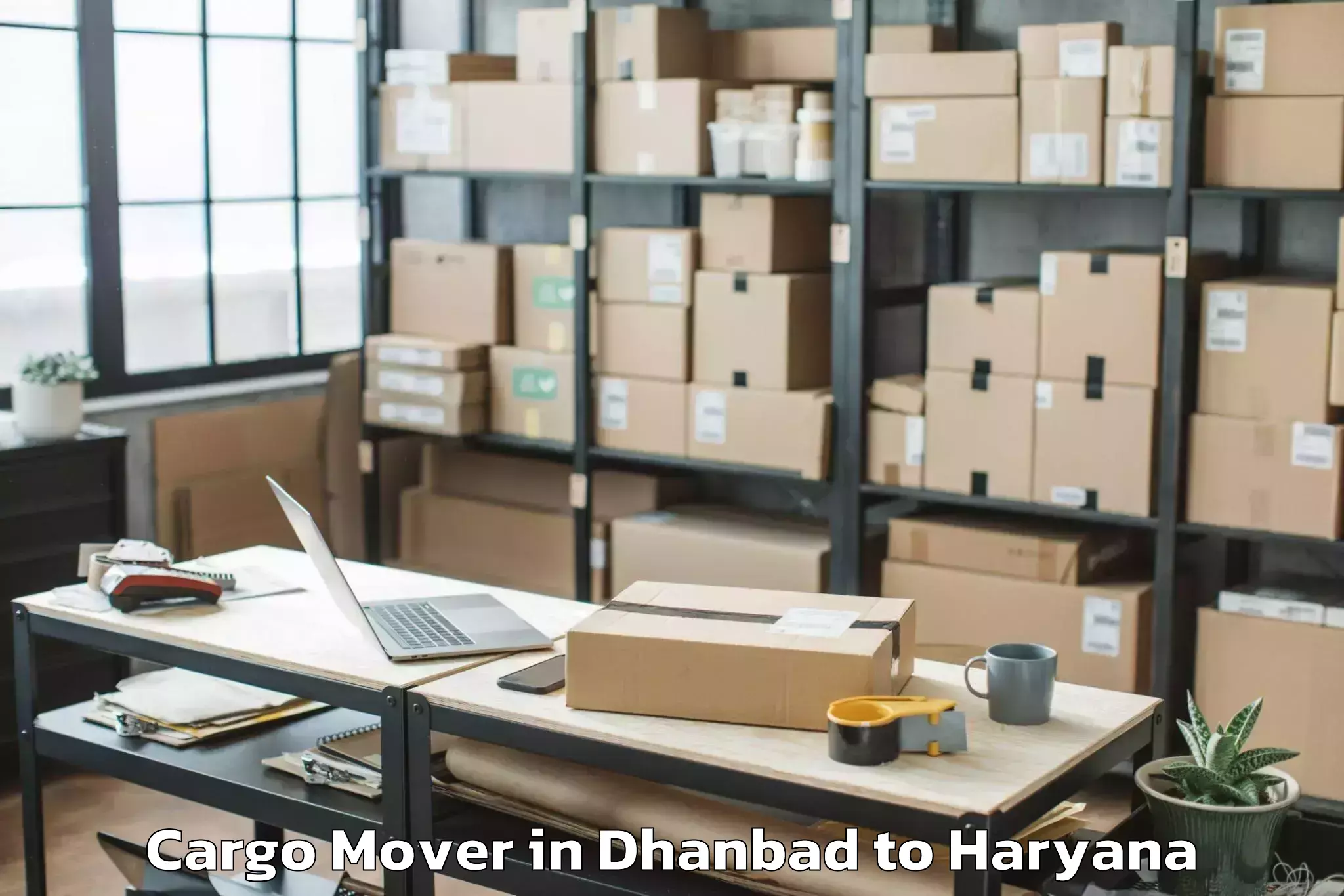 Book Dhanbad to Basantpur Cargo Mover Online